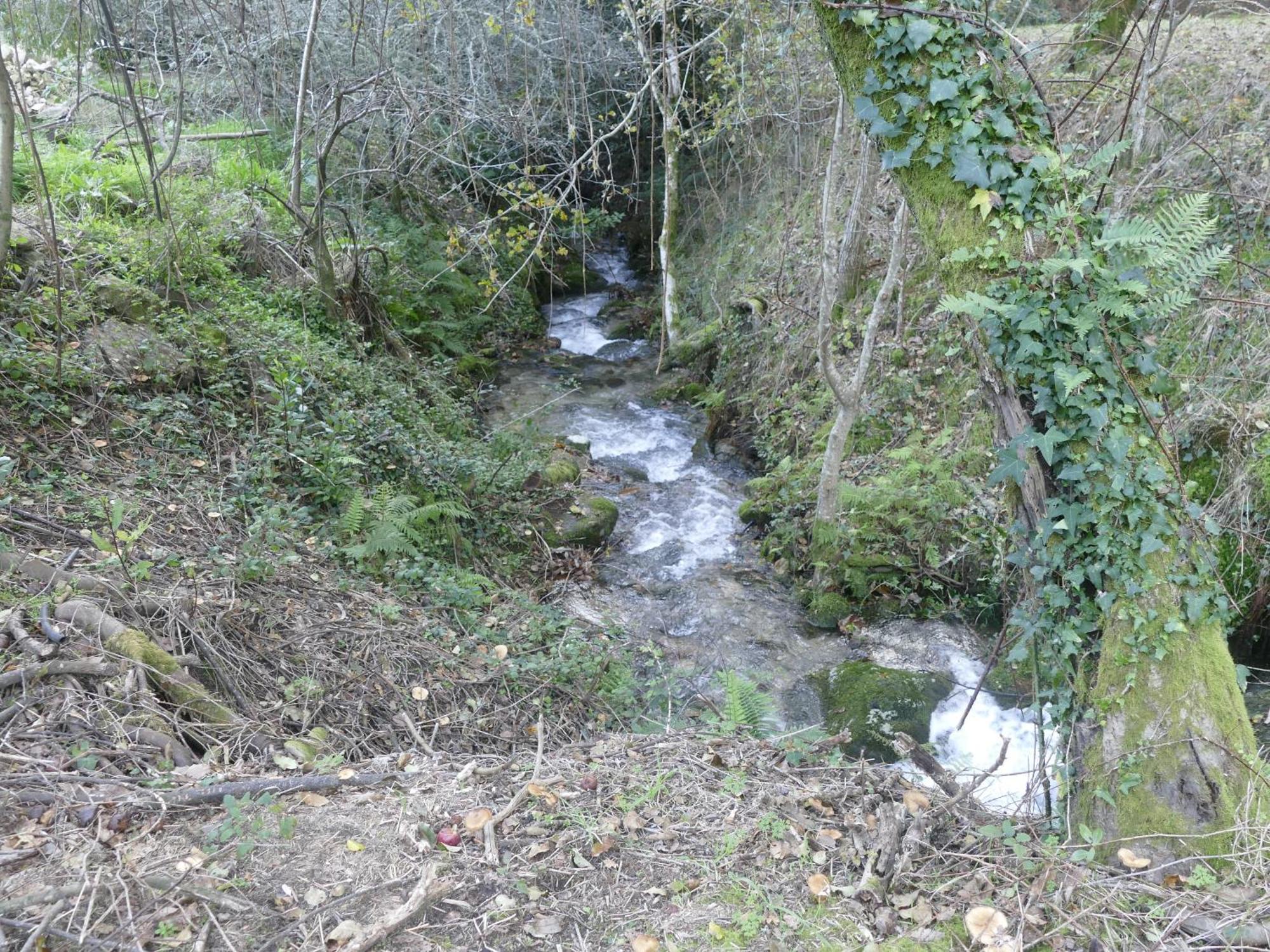 Casita A Estrenar En Finca Con Rio Proxima A Tui, Gondomar Y Portugal. Ngoại thất bức ảnh